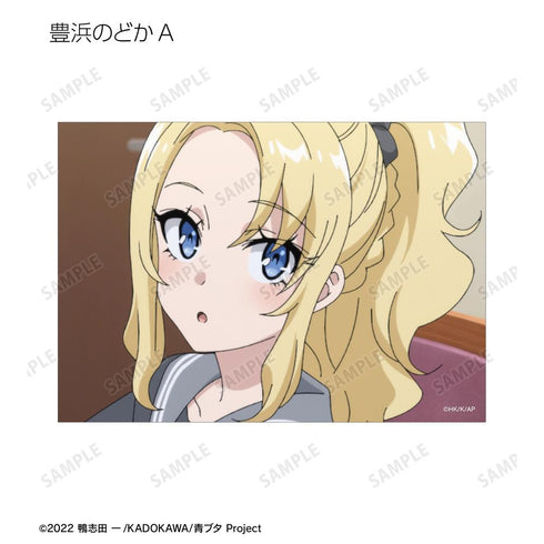 『青春ブタ野郎はおでかけシスターの夢を見ない』トレーディング場面写ブロマイド(単位/BOX)【202509再販】